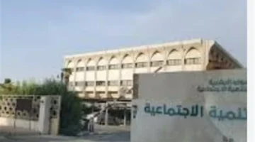 كيف تستفيد من الخدمات الرقمية عبر منصة التنمية الاجتماعية المتاحة للمستخدمين؟